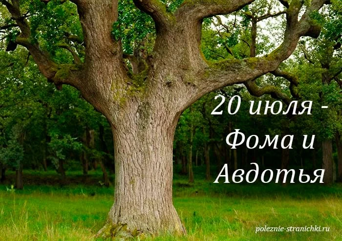 ☀️Народные приметы 20 июля.

Какой праздник принято отмечать 20 июля.
Народные приметы 20 июля.
Что 