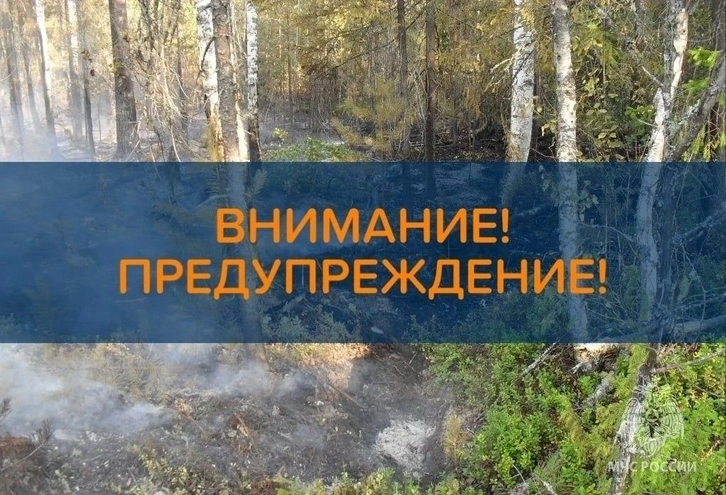 🔥🌳Внимание! Пожароопасность в Республике Марий Эл 

❗️По информации от Марийского ЦГМС – Филиала Ф