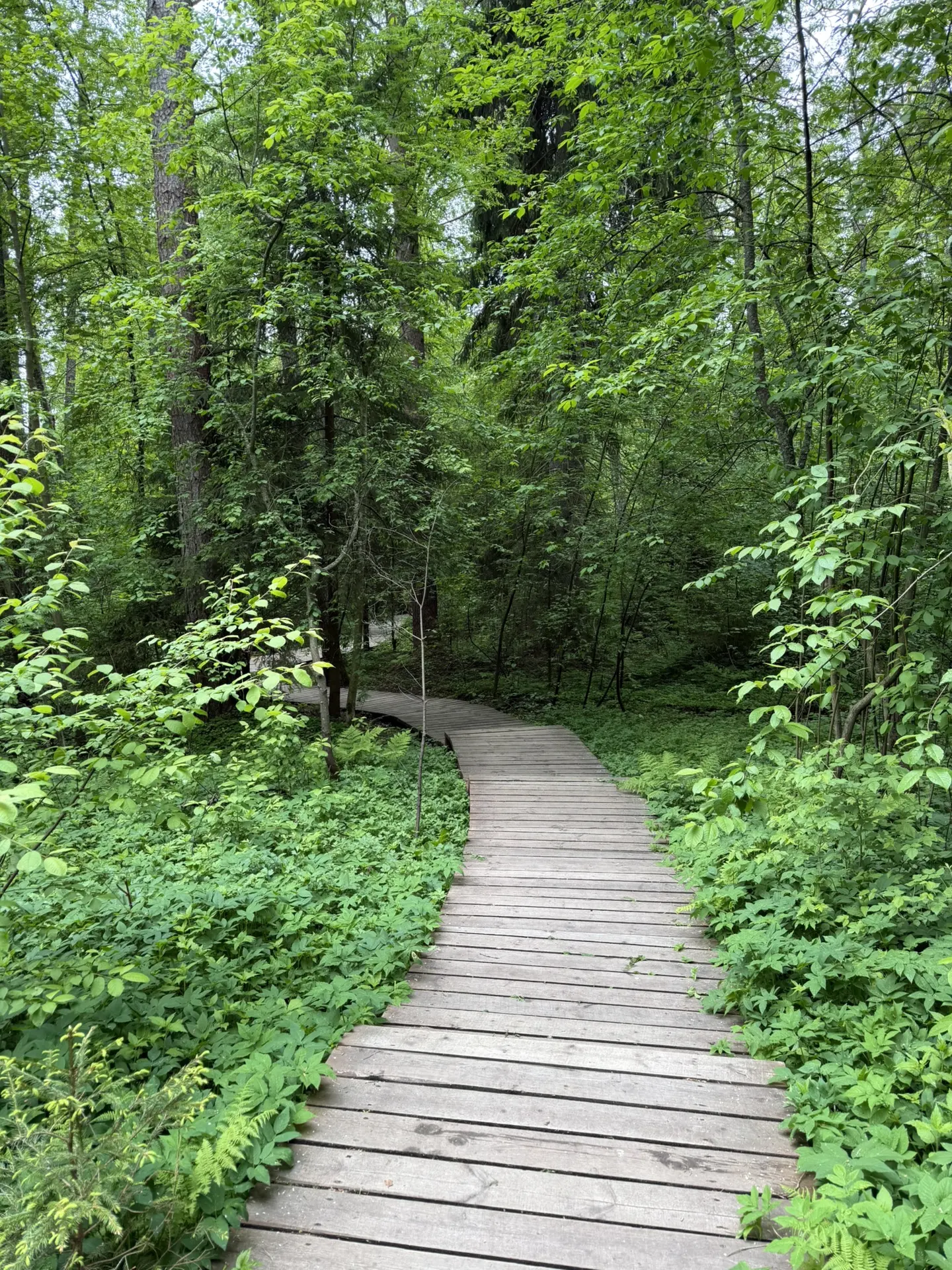 Полное уединение с природой — это отличный способ сбежать от городской суеты ✨