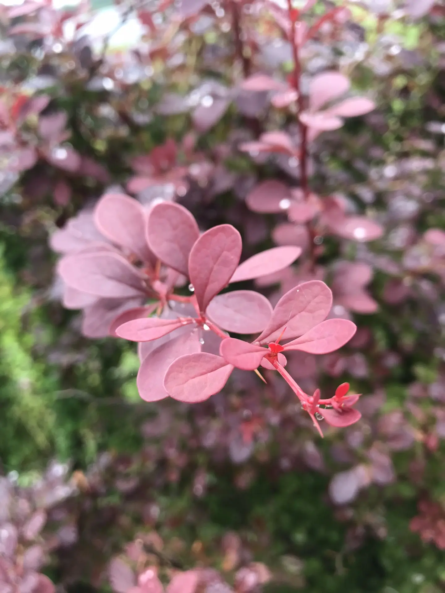 Немного красивых видов из нашей поездки. 🌺🌺🌺