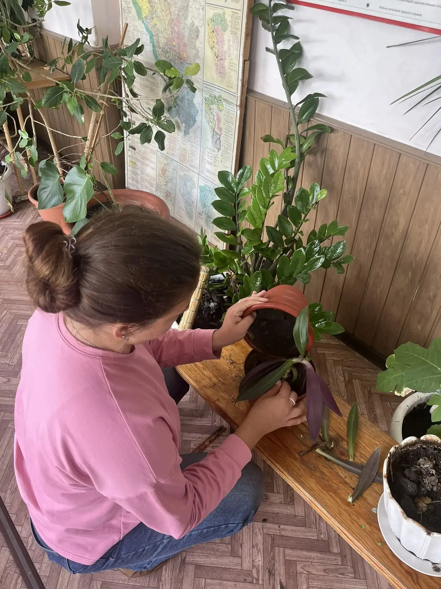🌿 **Трудовая бригада в деле: ухаживаем за зелёными друзьями!** 🌿

Сегодня наша трудовая бригада вз