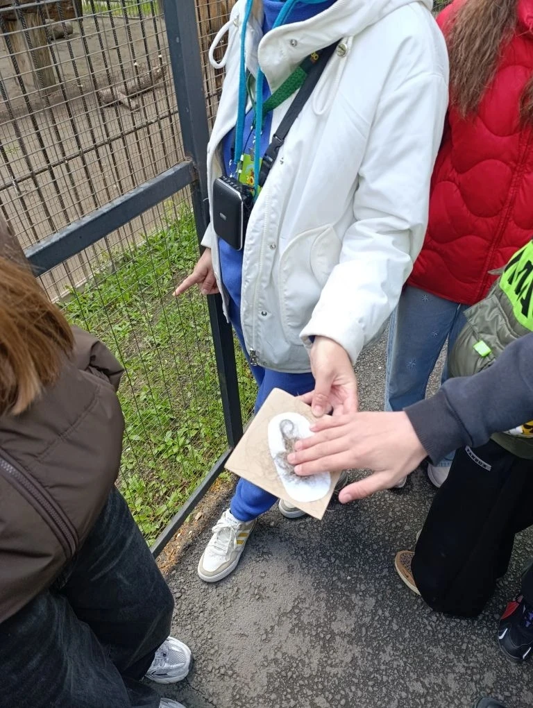 ✨ Экскурсия, которая запомнится надолго!   Делимся яркими впечатлениями от экскурсии 6 «Г» в зоопарк