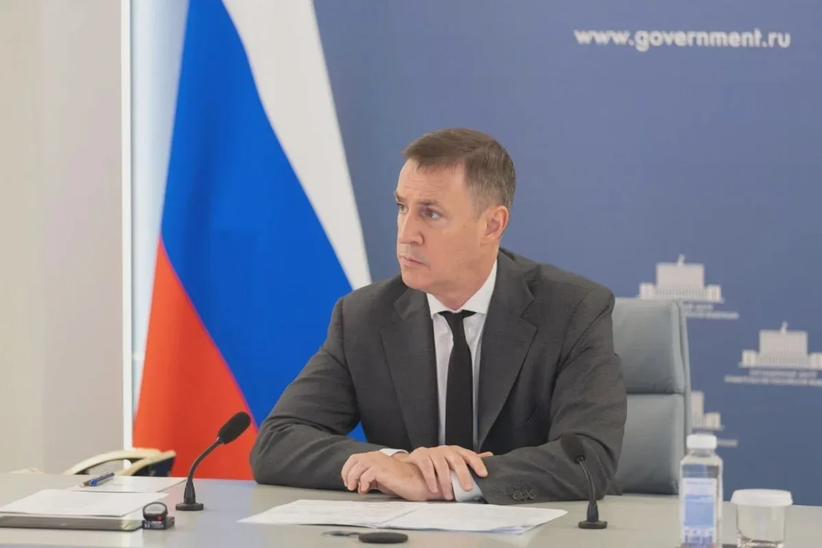 🐻 В России из-за атак медведей готовят первоочередные меры