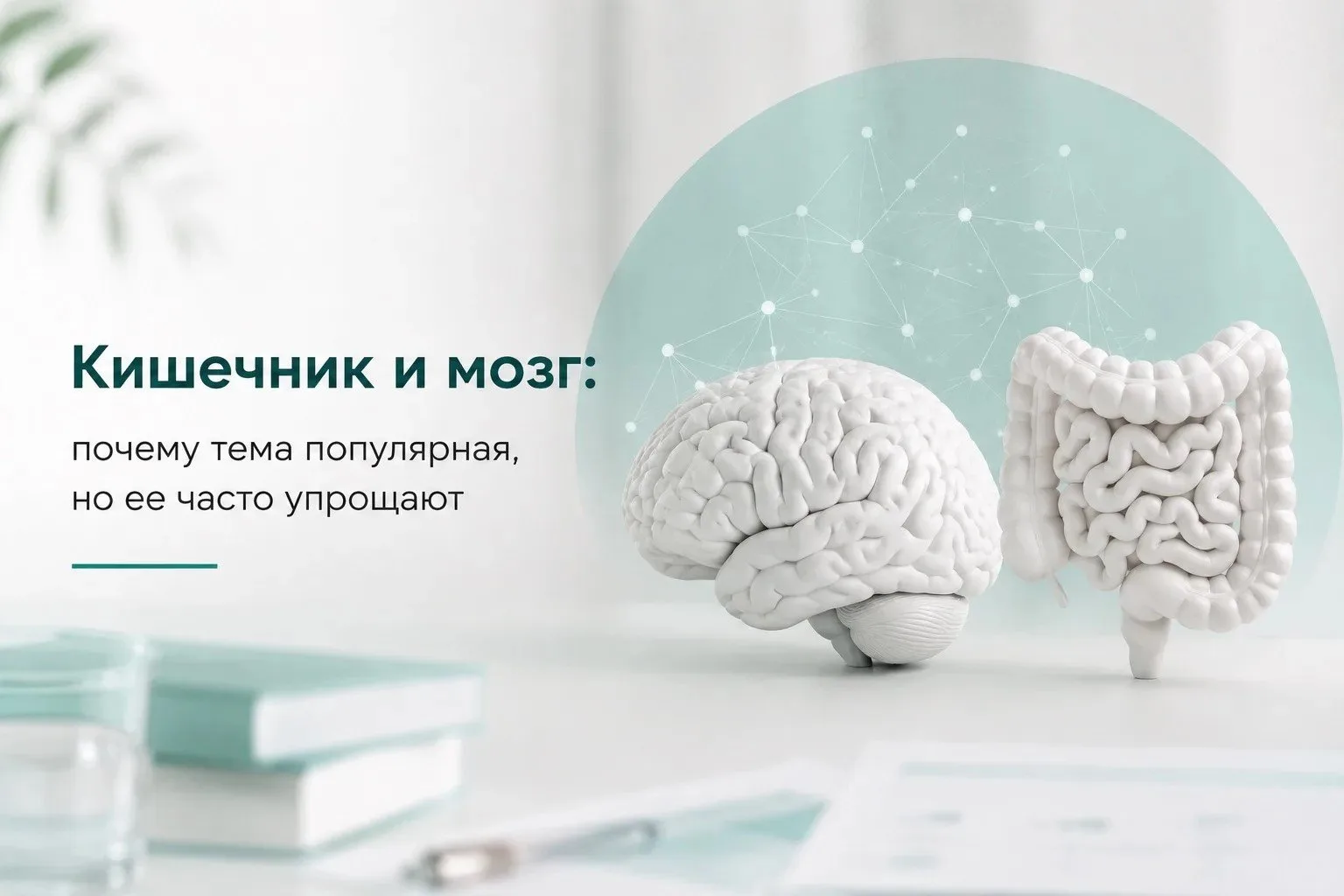 Кишечник и мозг: почему тема популярная, но ее часто упрощают❓