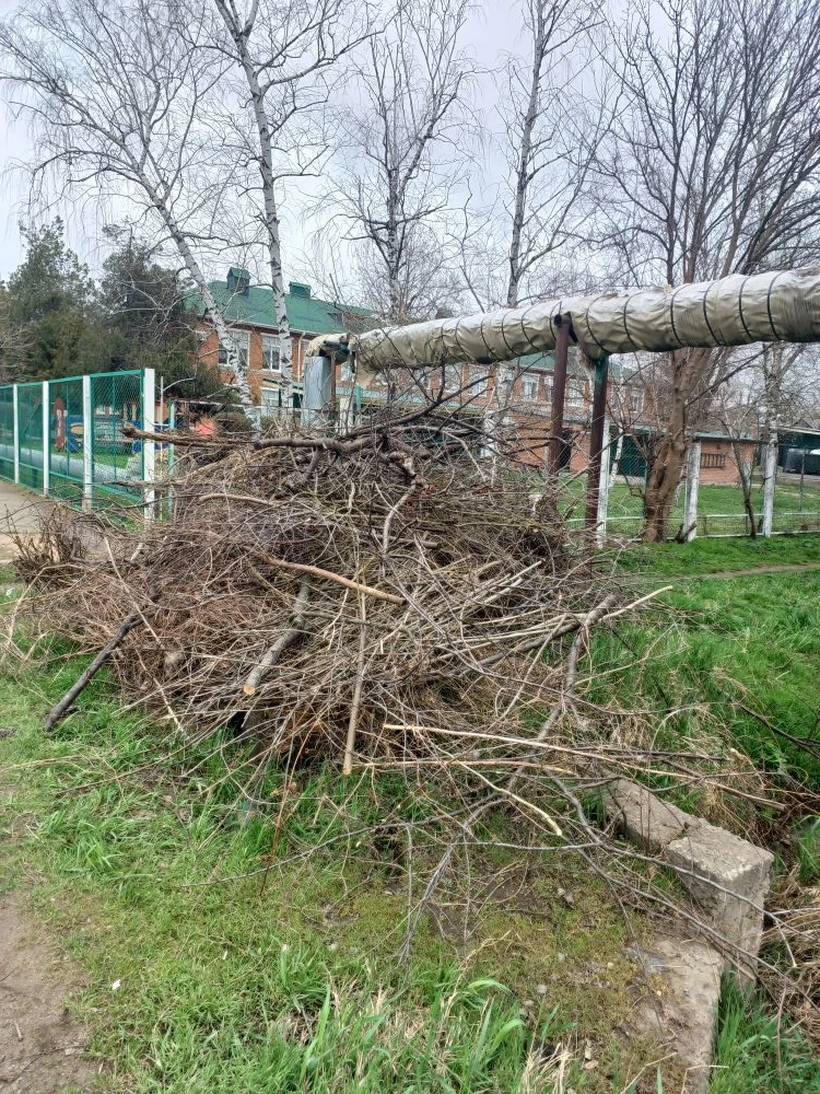 По распоряжению главы РА Мурата Кумпилова приняли участие в республиканском субботнике ...