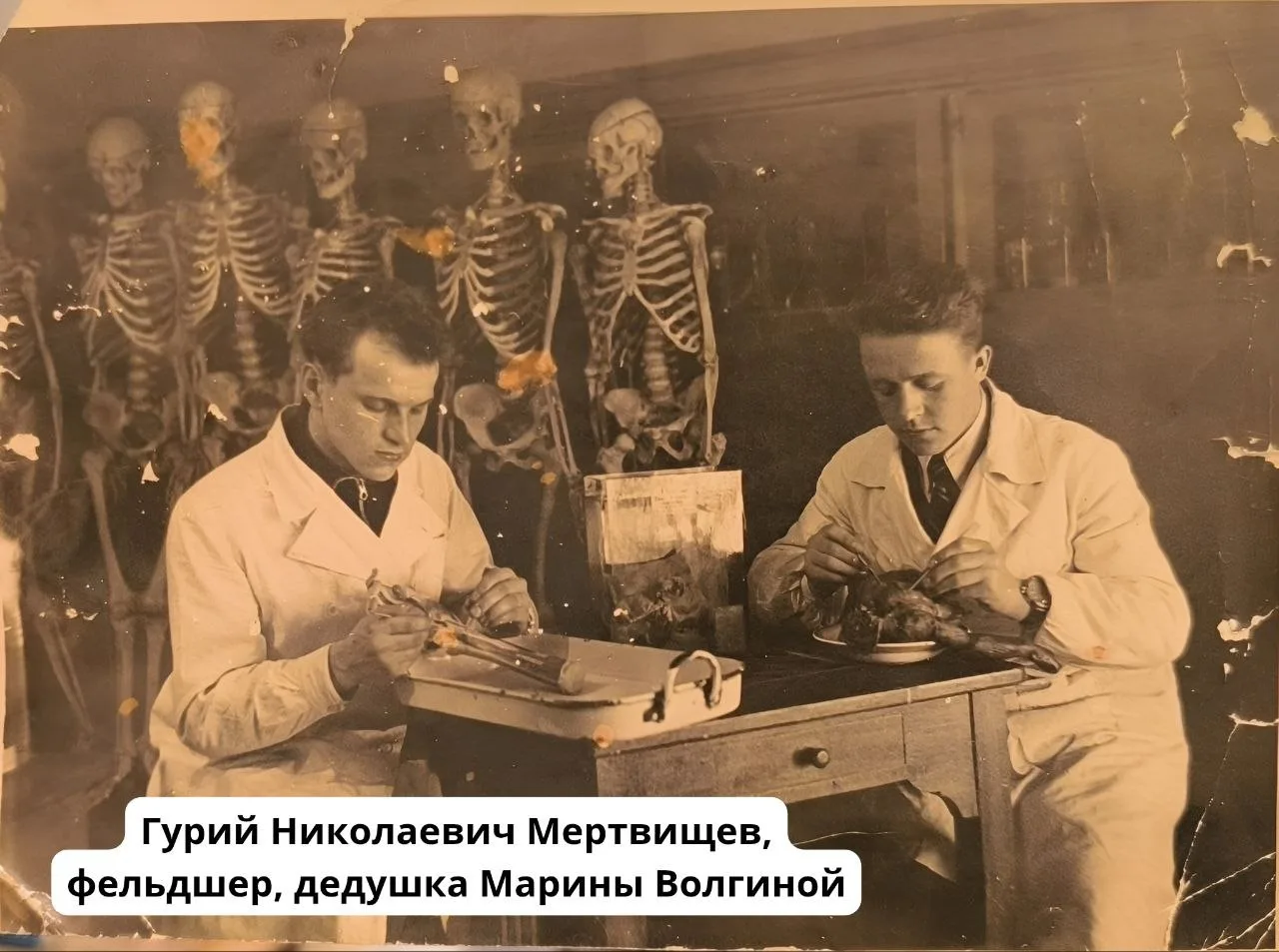 «Прикипела к лаборатории»

Что болит и как лечить, могут рассказать жидкости, которые выделяет орган