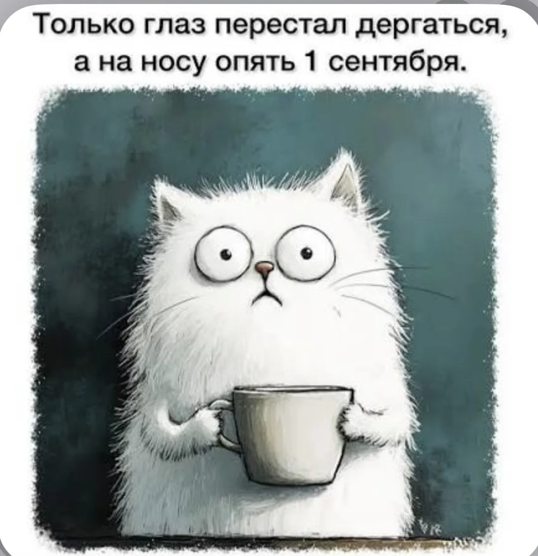 У всех глаз перестал дергаться?😅