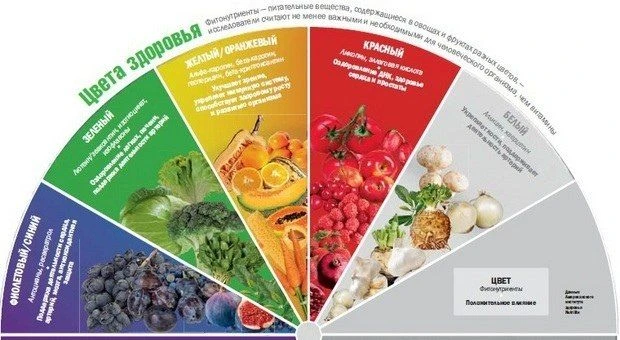 Почему важно, чтобы в тарелке были продукты разных цветов