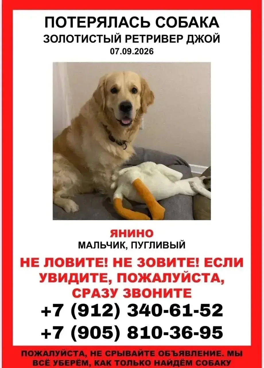 Уважаемые жители Янино‑1 и ближайших населённых пунктов!