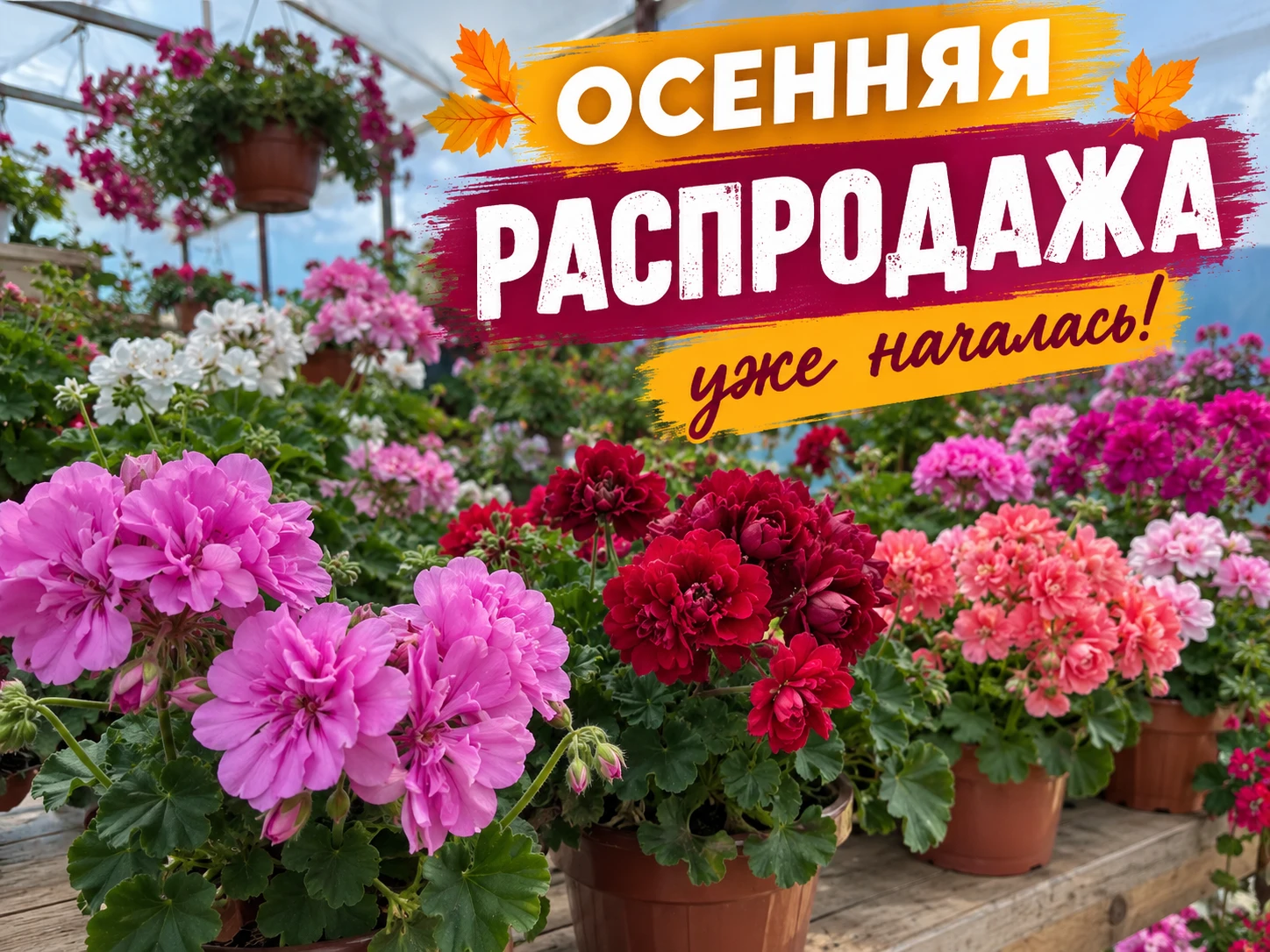 🍂🌺 ВСЁ! ОСЕННЯЯ РАСПРОДАЖА НАЧАЛАСЬ!