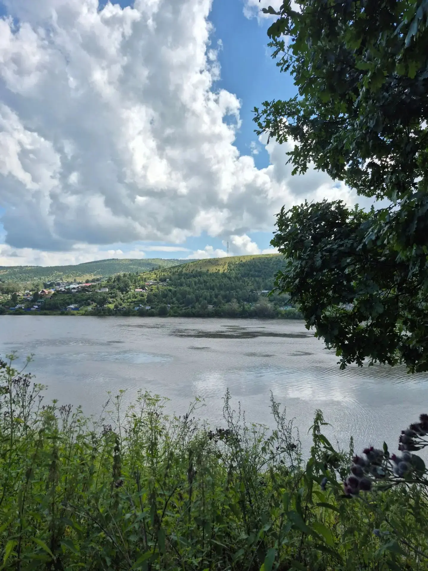 🌏Малая родина.  

🏡На городском пруду, у Вислого камня, на "маленькой тропочке".🌻