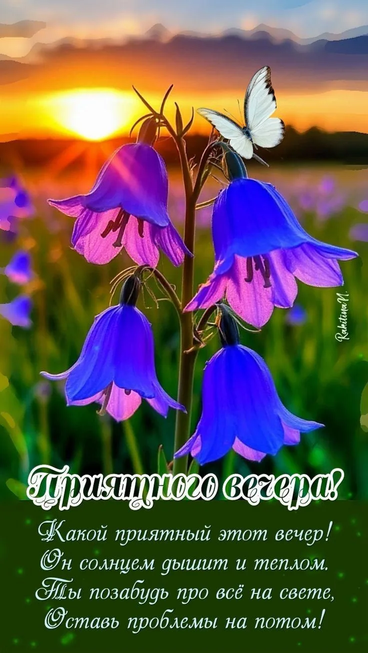 Самого доброго вечера вам!
Пусть он подарит вам радость и тёплые моменты с самыми родными людьми, пу