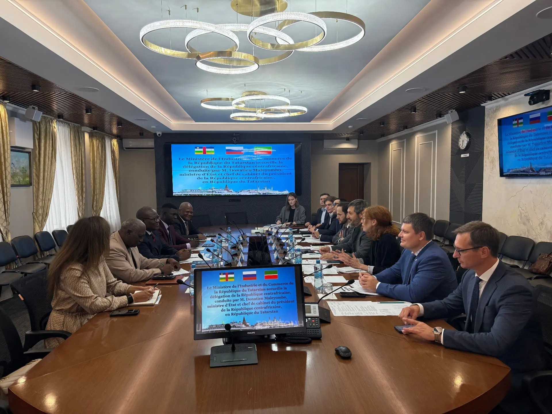 Татарстан и Центральноафриканская Республика обсудили перспективы сотрудничества
