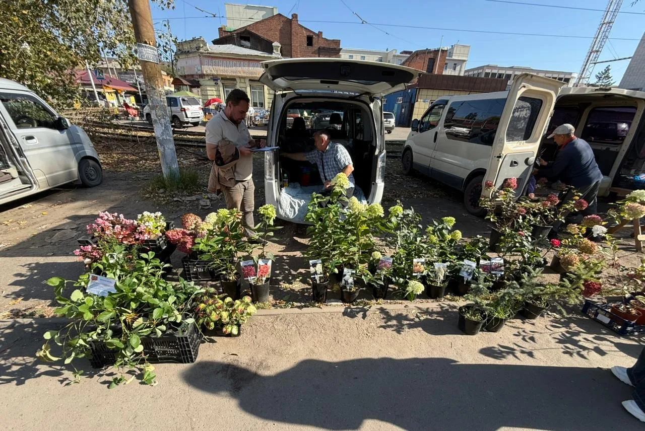 🥬В Ленинском округе проходят рейды против стихийной торговли.