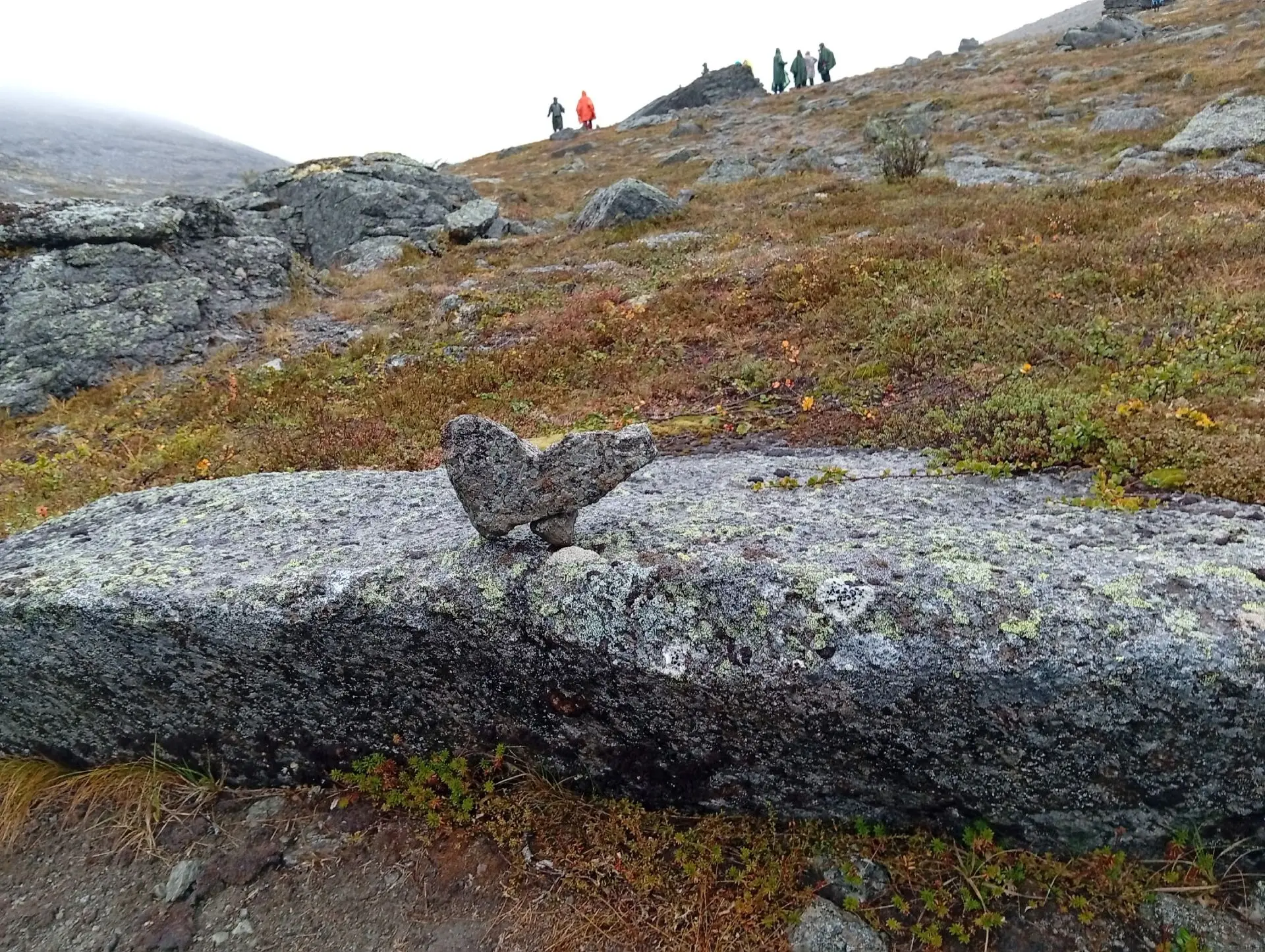 ⛰Хибины глазами участников экспедиции