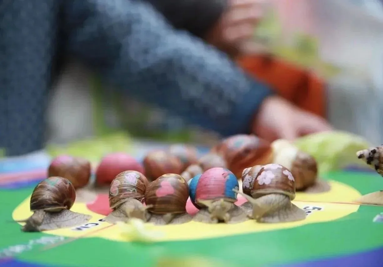 Липецкие гламурные улитки преодолели 3000 км 🐌✈️