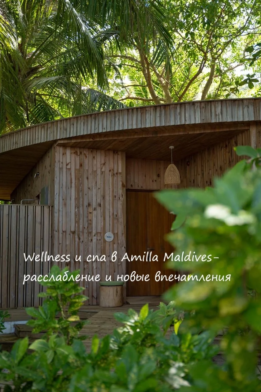 🌿 Wellness и спа в Amilla Maldives: расслабление и новые впечатления