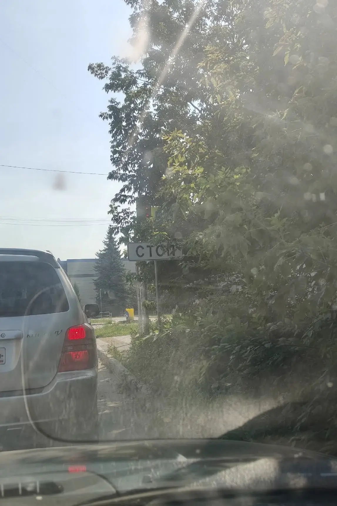 🤬Копейск зарос….
Совсем не видно светофора при выезде с переулка Свободы на Коммунистический проспе