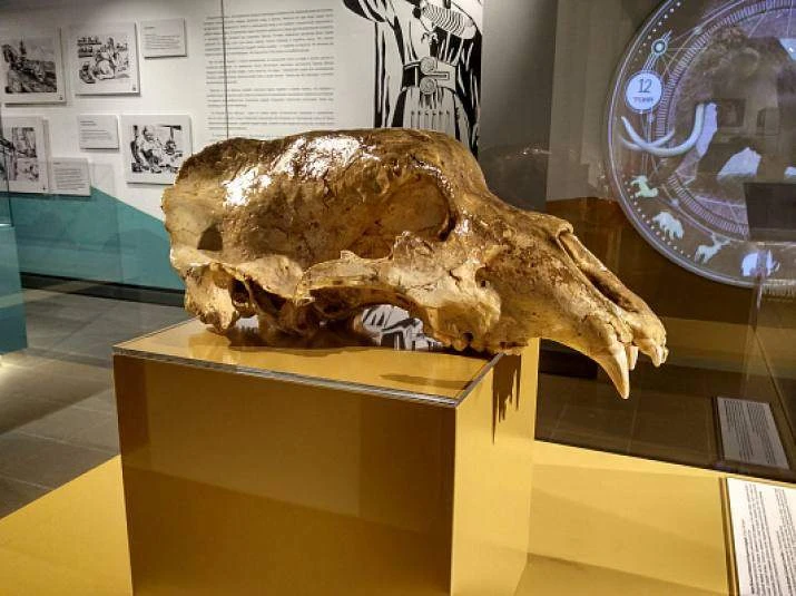 🐻 Следы древних медведей нашли в пещере Лагонакского нагорья.