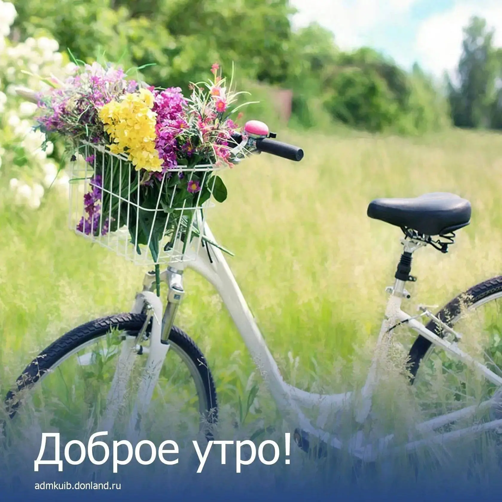 ☀️А вы уже заметили?   Лето подходит к концу...
