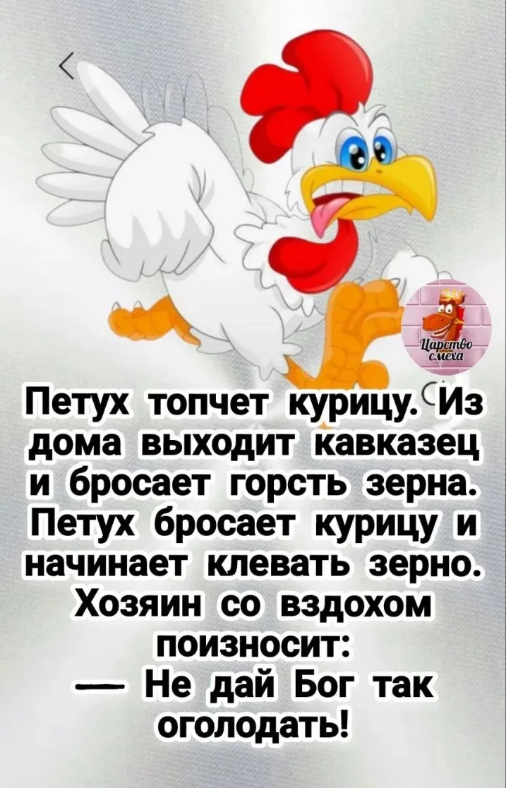 Не дай Бог!🤣