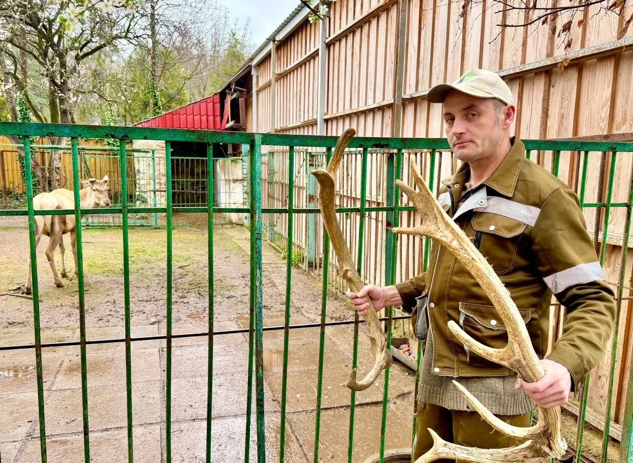 Простите, но накануне первого апреля в серый до хмурости дождливый день самое время для...