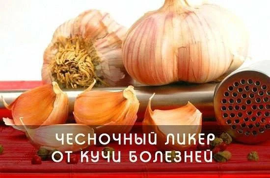 Чесночный ликер от кучи болезней!

В прозрачную бутылку положить 12 зубчиков чеснока, каждый разделе