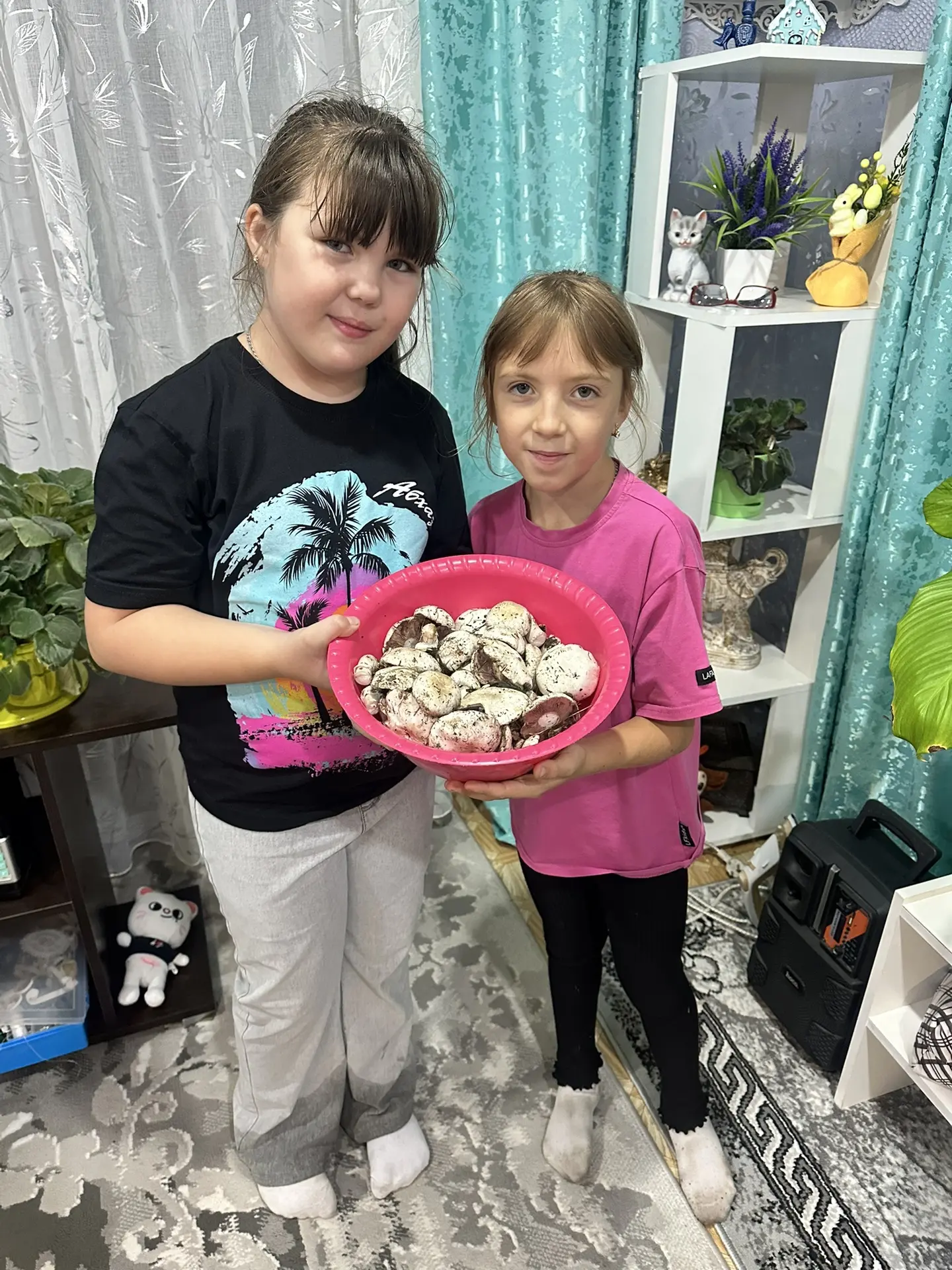 Девочки набрали шампиньоны 🍄‍🟫