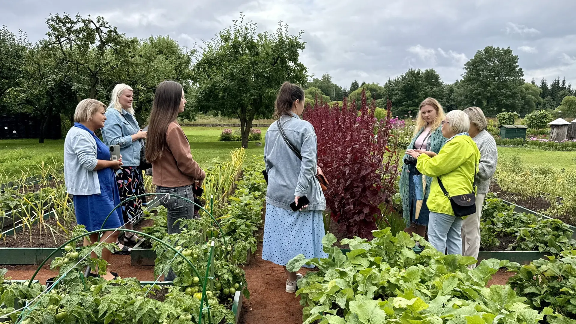 🌿 За вдохновением в Стрельну

Кухонный огород в парке Авиаторов еще только в середине своего сезона