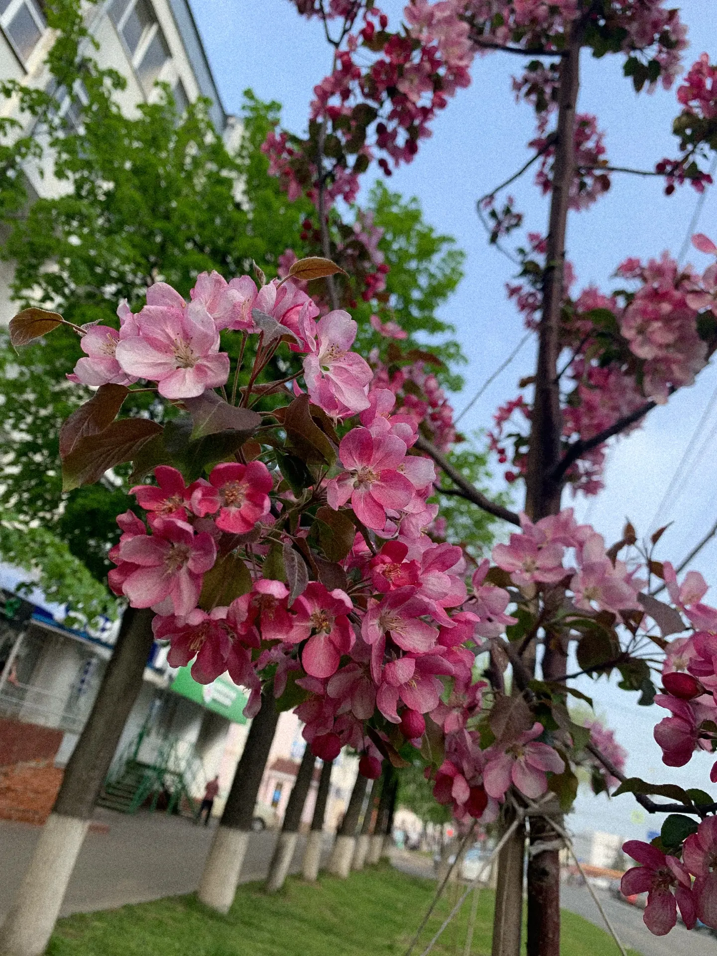 Отличных выходных🌸