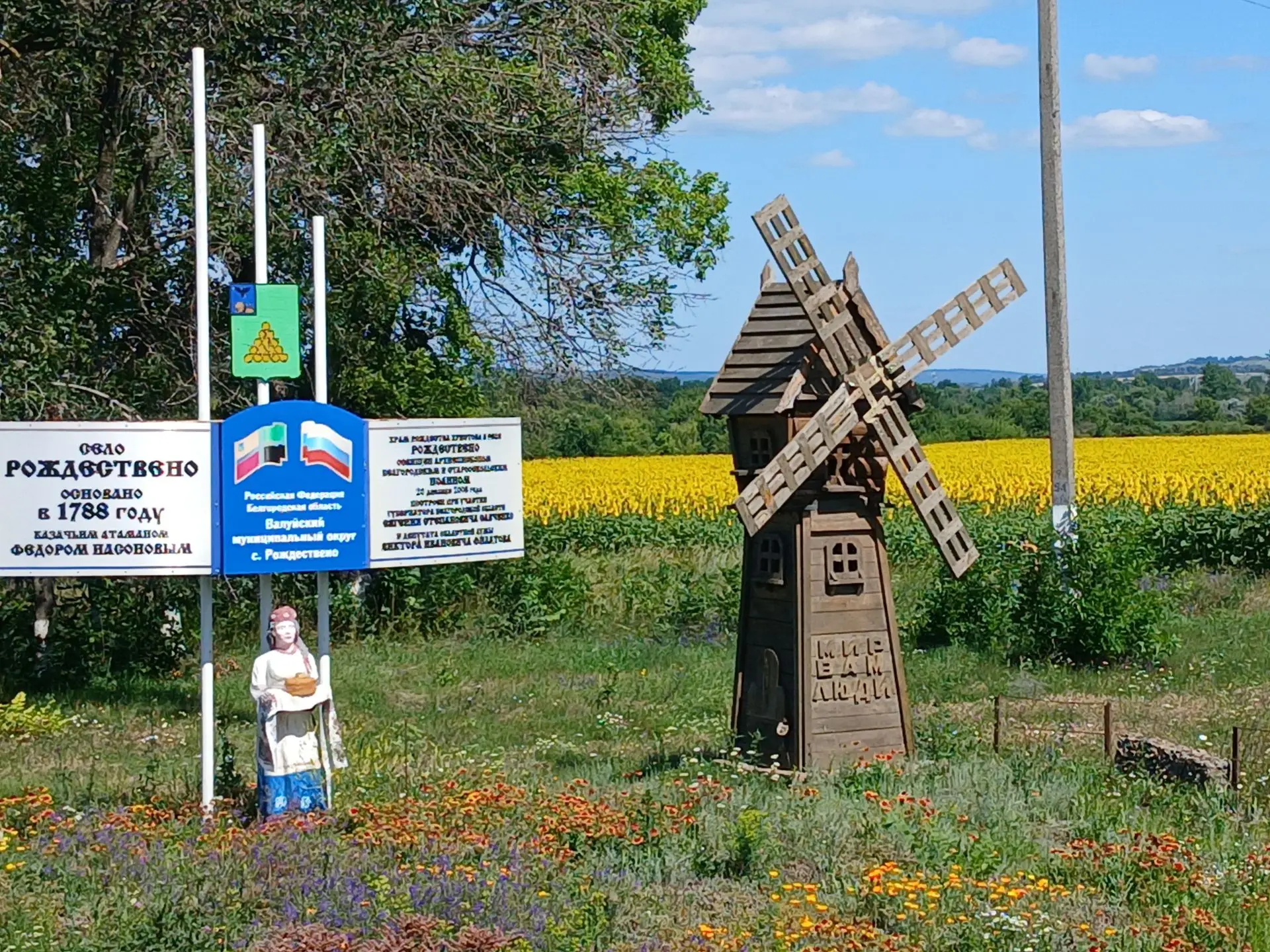 Лето в самом разгаре 🌻