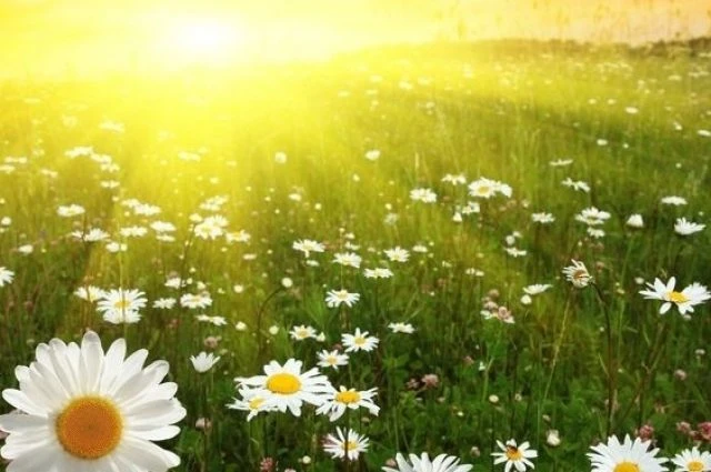 🌼🍒🦋🌸🍒🦋

Погода сегодня:
Утро ⛅️ +23°С, Ю-З 3м/с.
День 🌧️ +25°С, Ю-З 4м/с.
Вечер ⛅️ +22°C, С-З