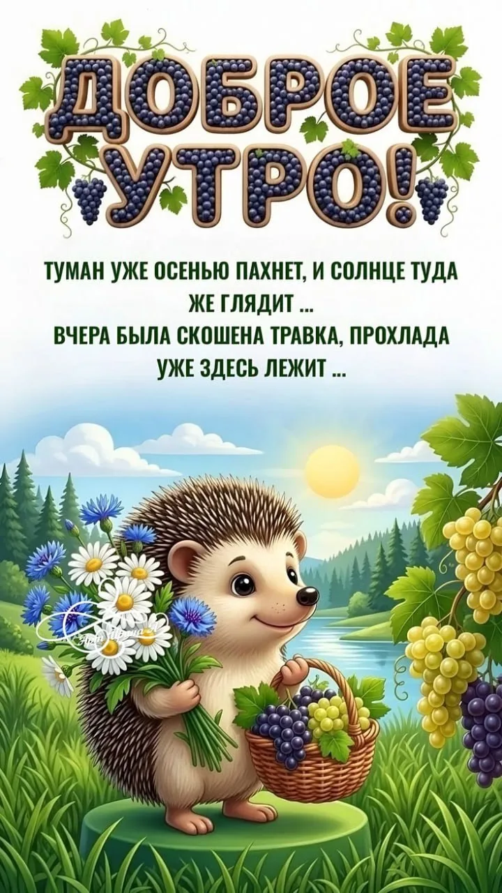 Утренний привет