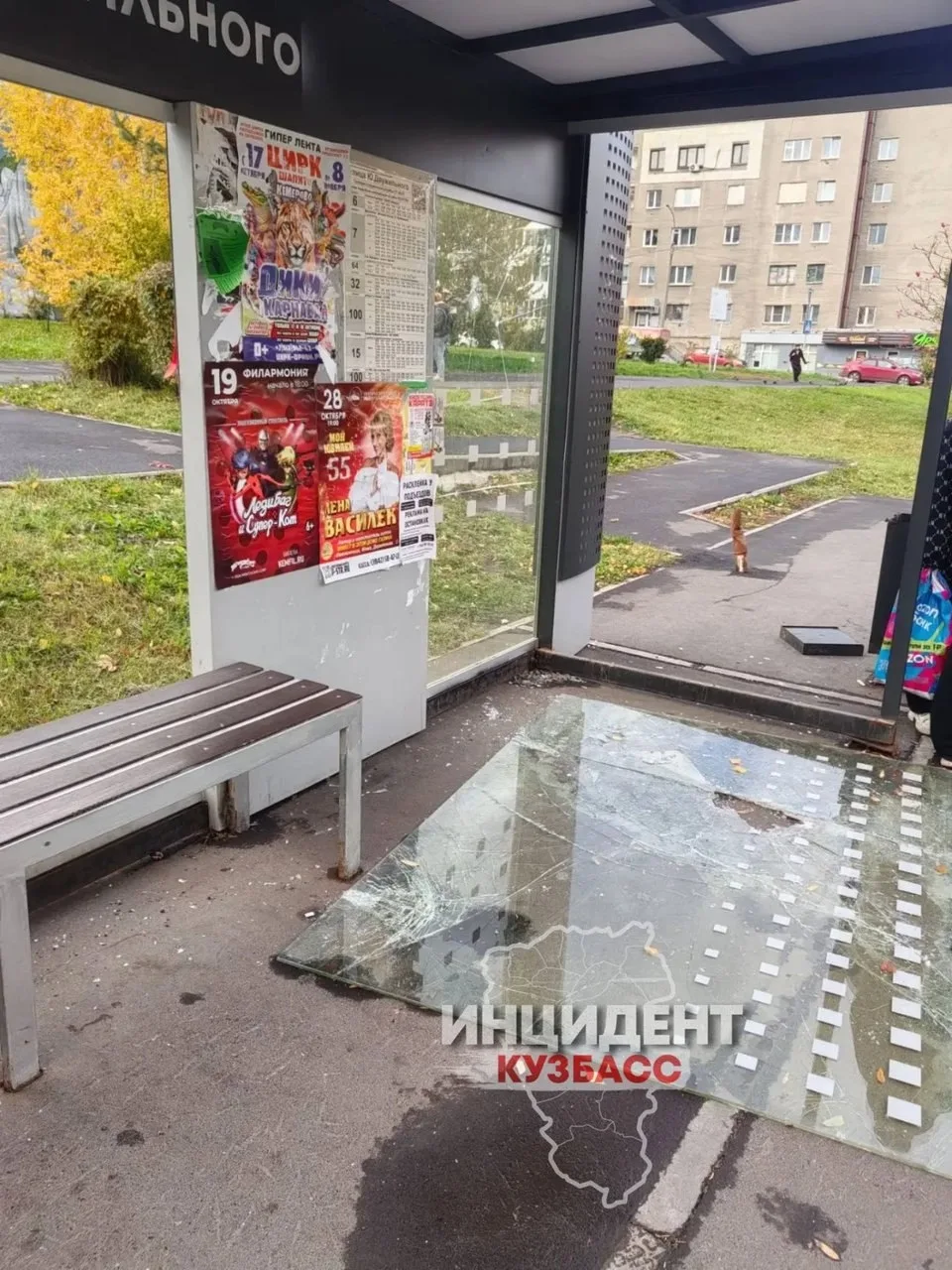 Выбили стекло на остановке на улице Двужильного