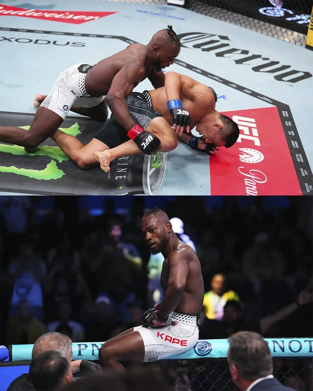 🚨Результаты турнира #UFCVegas119

Манель Кейпе победил Киоджи Хоригучи техническим нокаутом (Раунд 