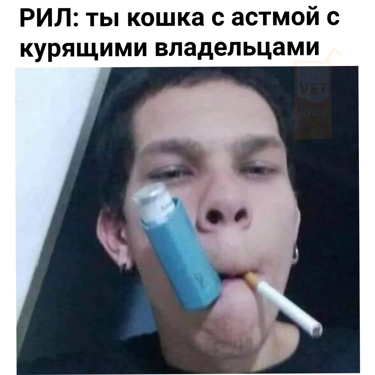 #vetjuice