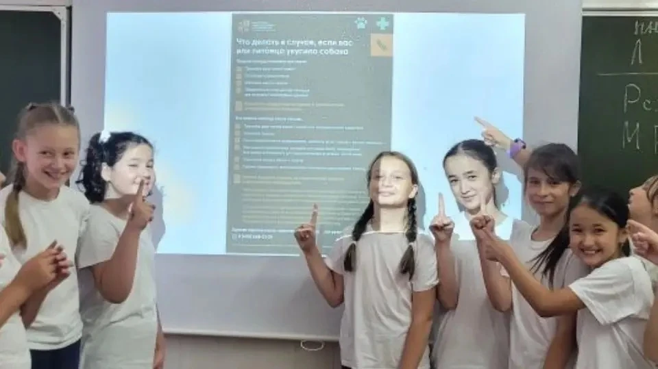 🐶 Безопасность рядом с животными!