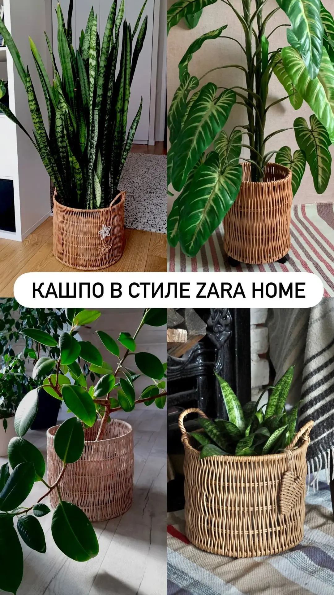 🌸Обратите внимание как интересно  корзинка с вертикальным плетением служит кашпо