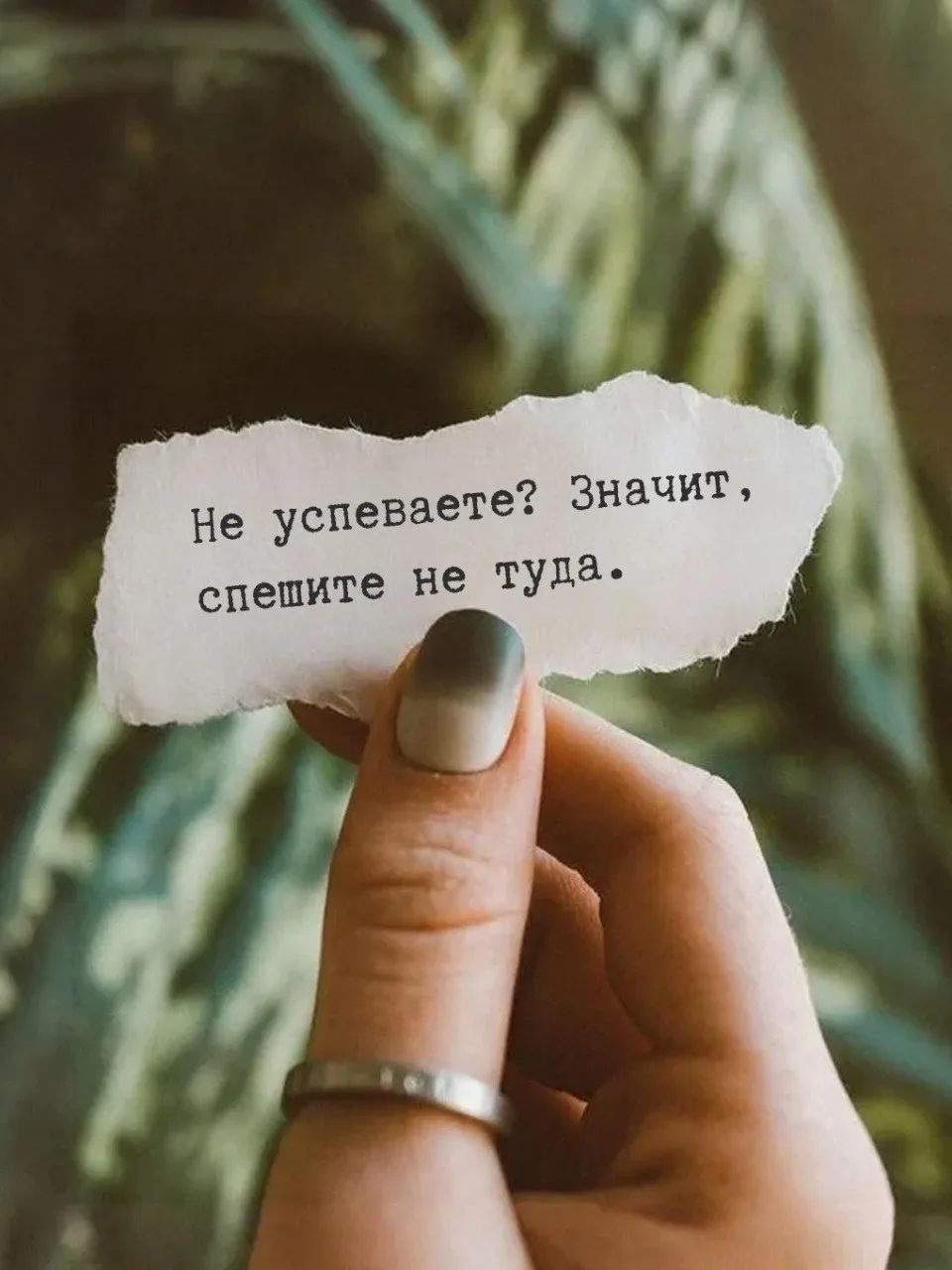 💥ПОСЛАНИЕ НЕДЕЛИ 💥