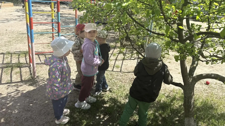 Май — это особенное время, когда природа просыпается и дарит нам самые яркие краски и а...