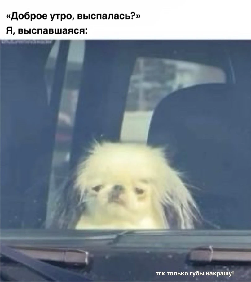 Да, я