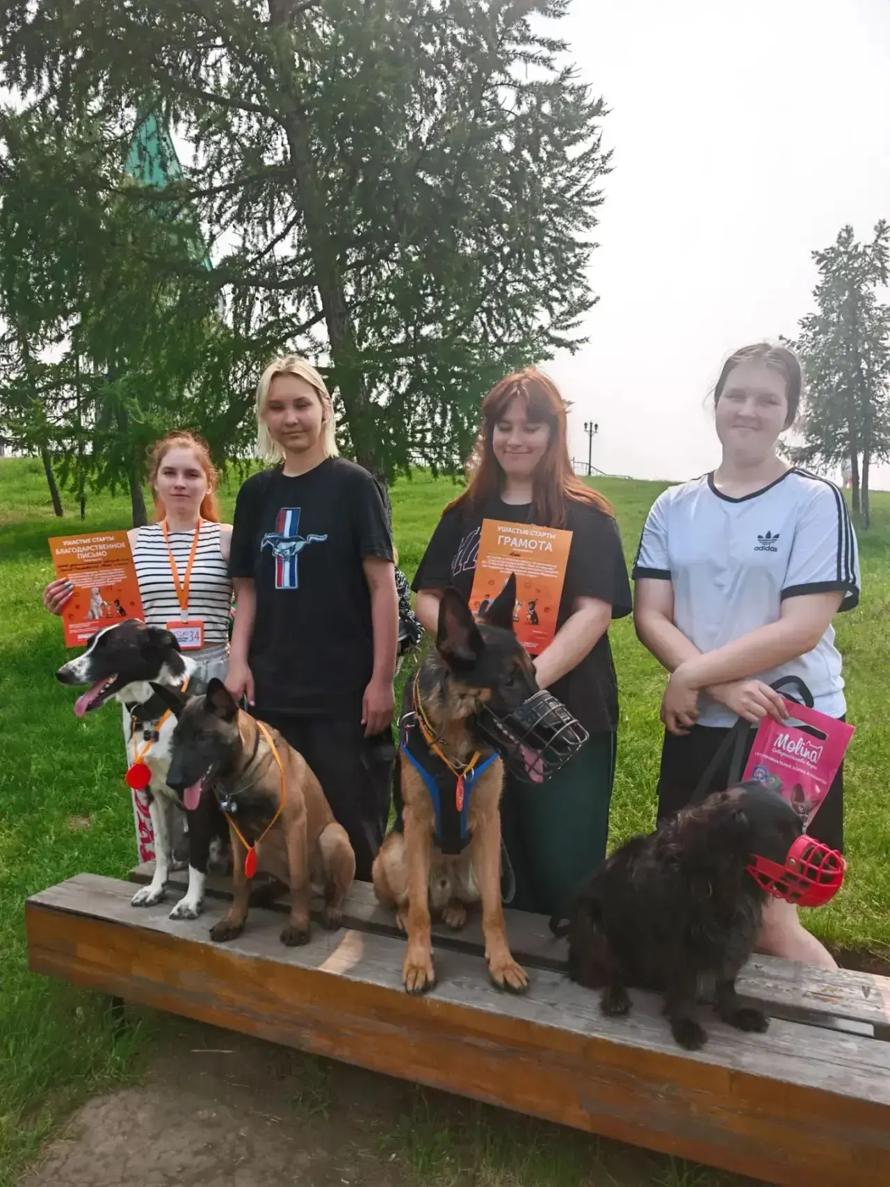 Ушастые старты🐶