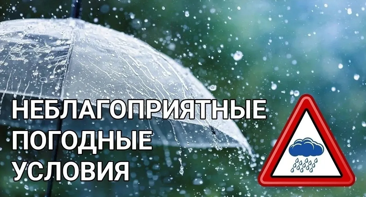 Уважаемые коллеги, ребята, родители! 
         Калининградским центром по гидрометеорологии и монито