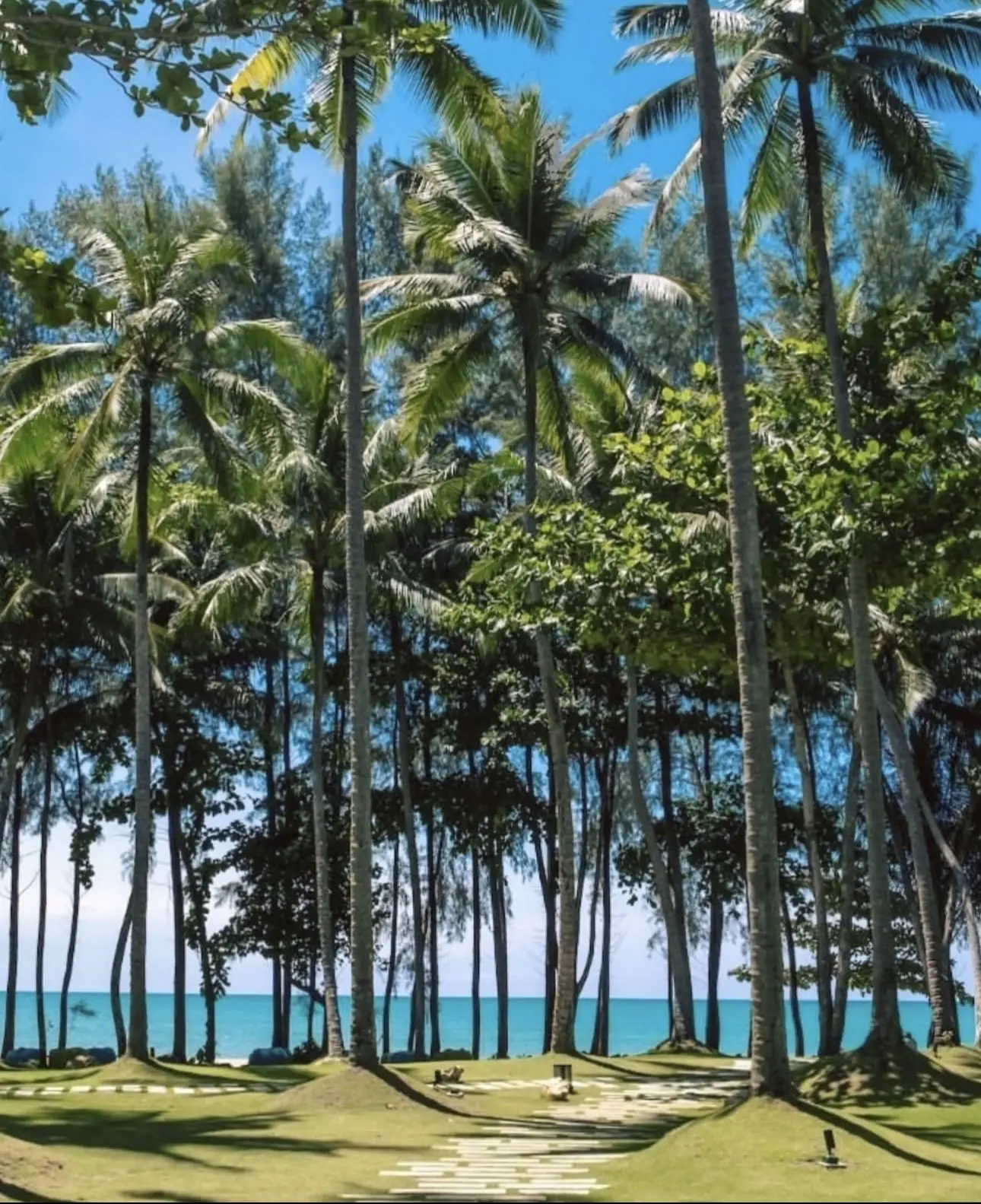🌴 Као Лак