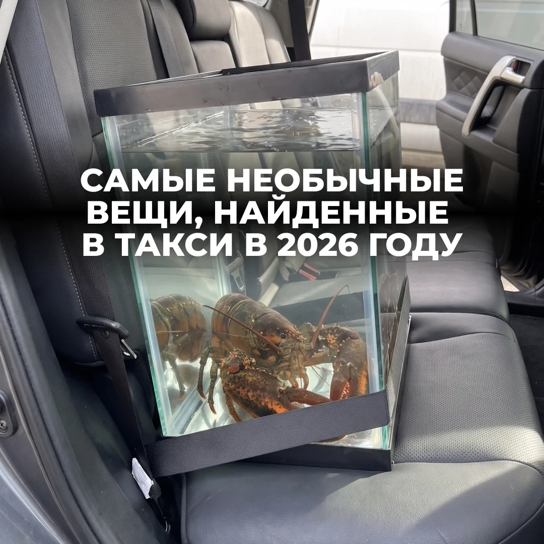 Кажется, пассажир забыл ухо…