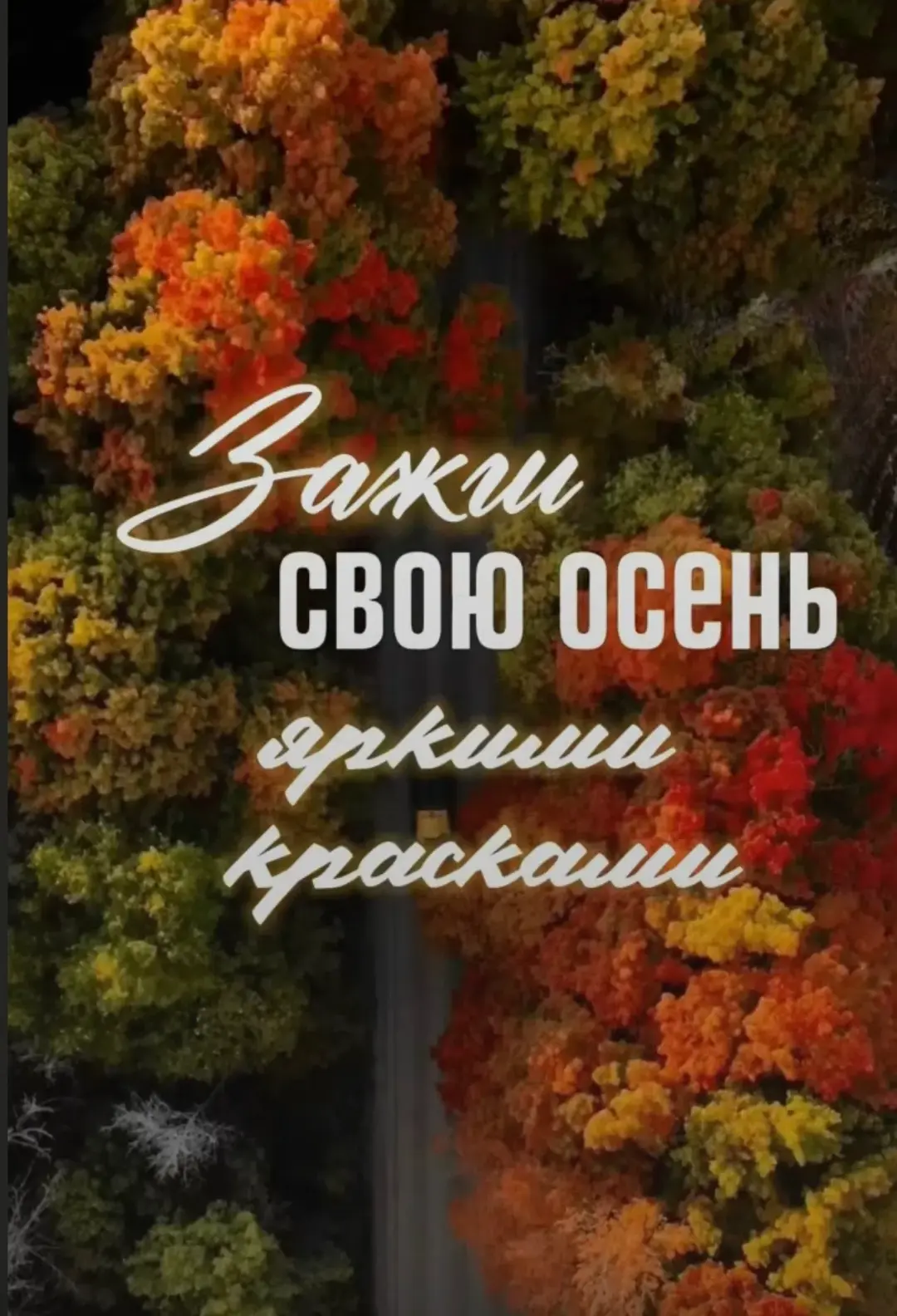 Доброе утро, друзья❤️!