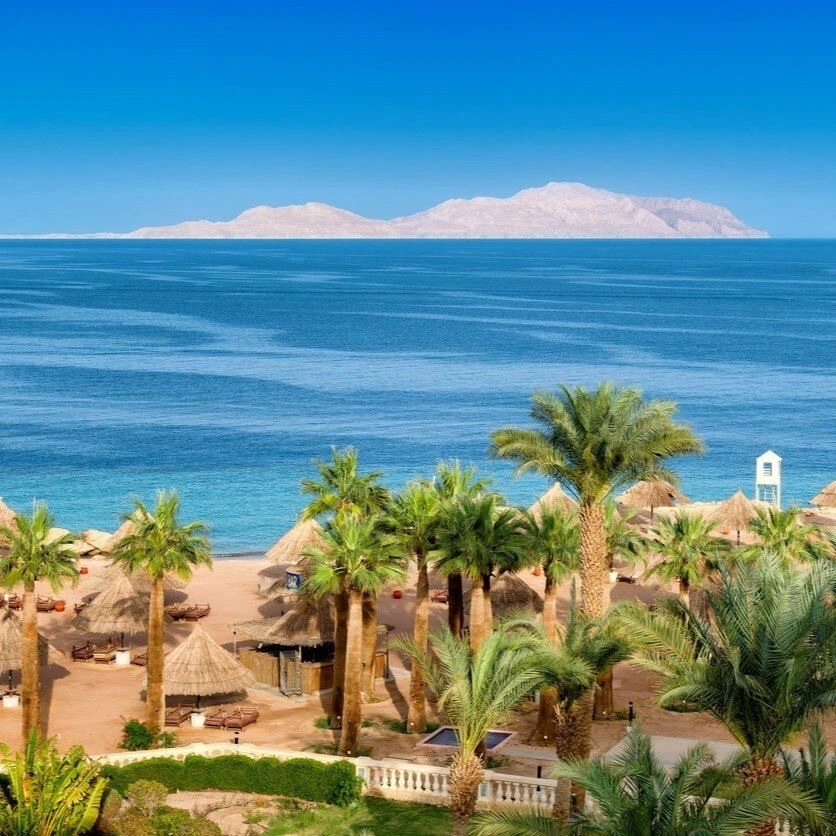 🇪🇬 Легко понять, невозможно забыть — и всегда актуально. Египет отлично закрывает бол...