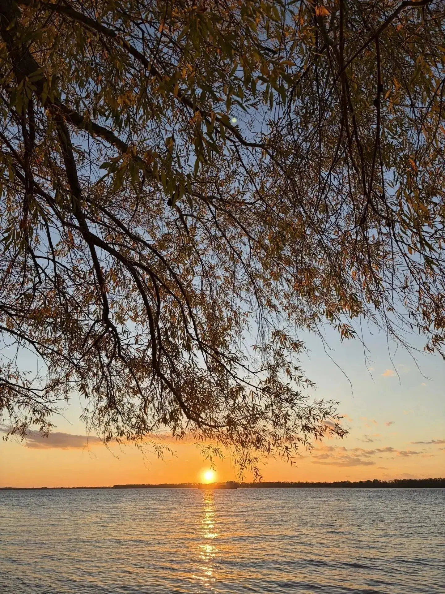 🍂  Осенняя атмосфера в Самаре