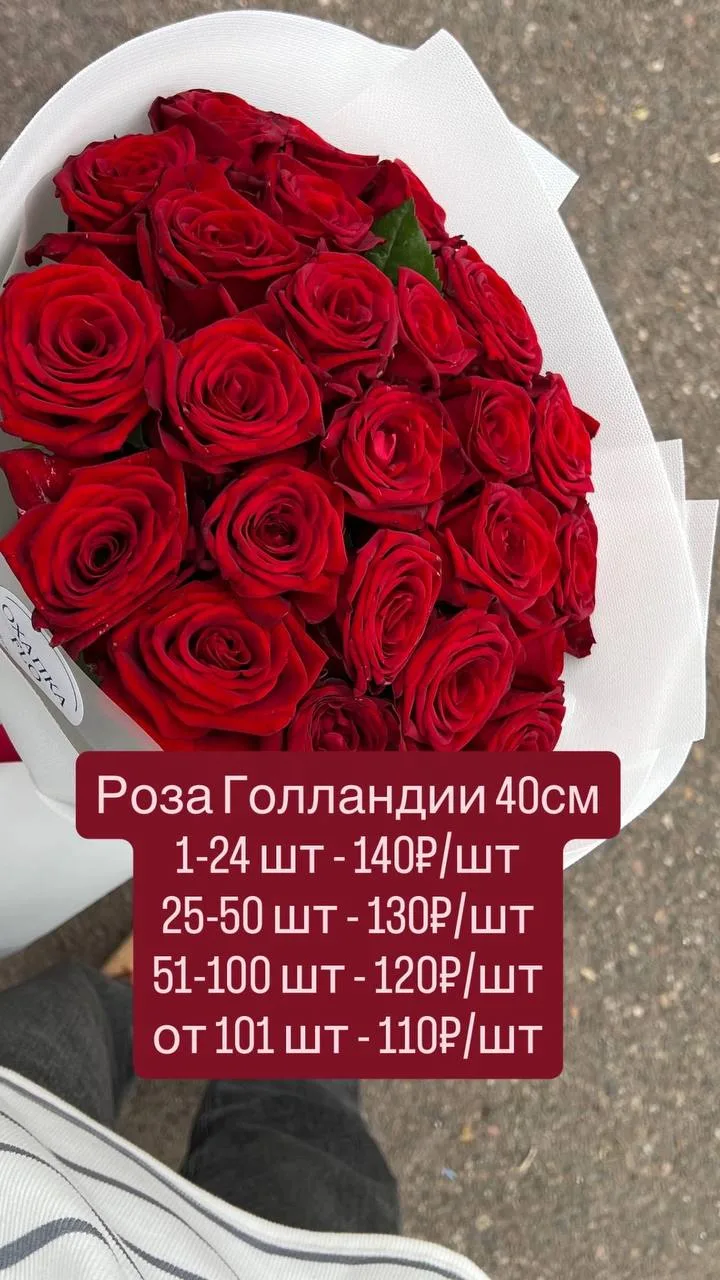 Розы Голландии в регулярных свежих поступлениях 🌸🔥