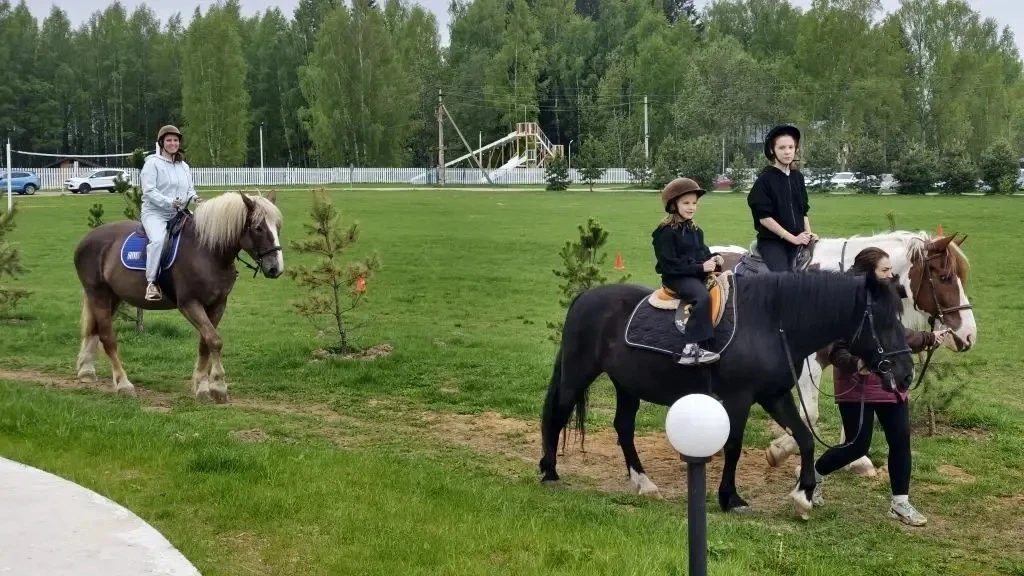 Активные выходные! Эти выходные учащиеся 1а класса София П. и 5а класса Алиса П. решили вместе с род